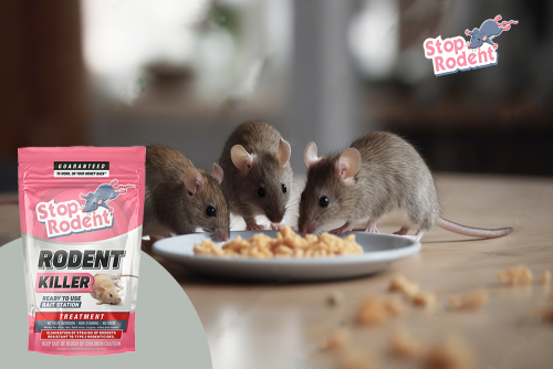 Die Wissenschaft hinter unserer Anti-nagetier-paste enthüllt : Wie Rattengift den Befall präzise und sicher bekämpft