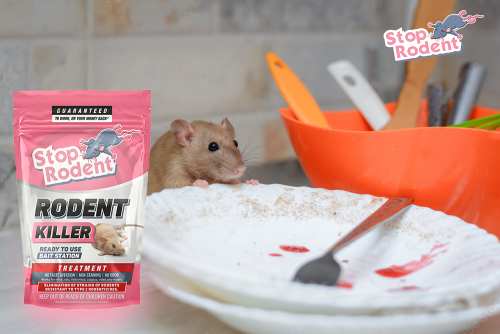 100 % wirksame Lösungen gegen Ratten und Mäuse