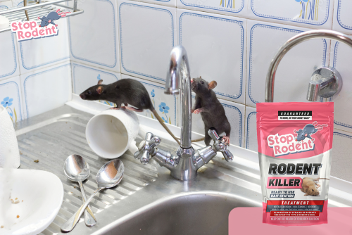 Wie kann eine sichere Verwendung von Rattengift gewährleistet werden, um Ihr Zuhause wirksam zu schützen?